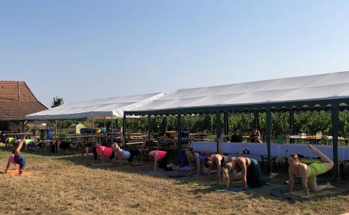  Ranná joga vo vinohrade v Zelenči